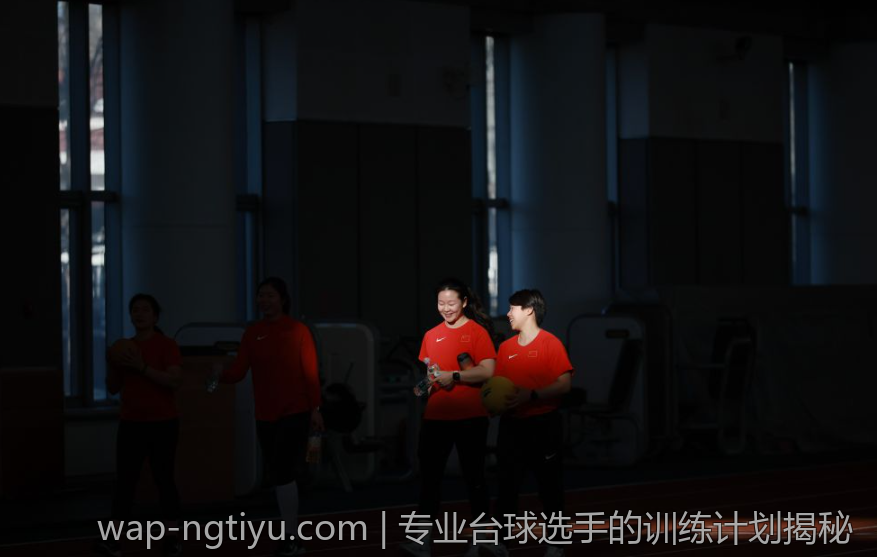 专业台球选手的训练计划揭秘