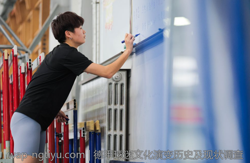 德甲球迷文化演变历史及现状调查