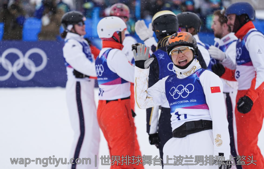 世界排球舞台上波兰男排独占鳌头