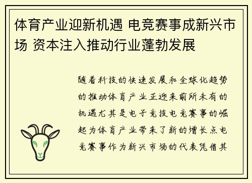 体育产业迎新机遇 电竞赛事成新兴市场 资本注入推动行业蓬勃发展